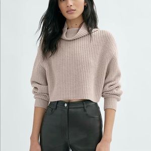 Aritzia Montpellier crop sweater
